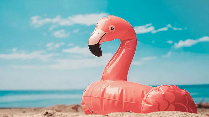 UN TUFFO…NELLO STILE!