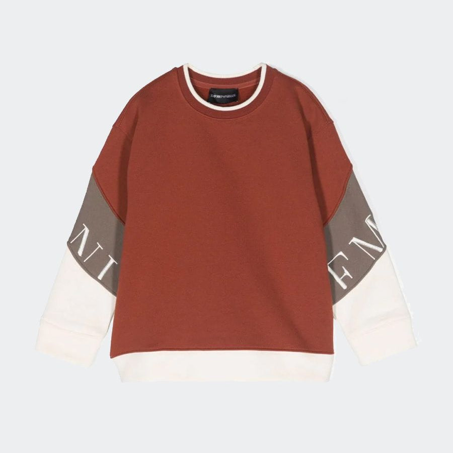 Armani Colorblock Crewneck Sweatshirt