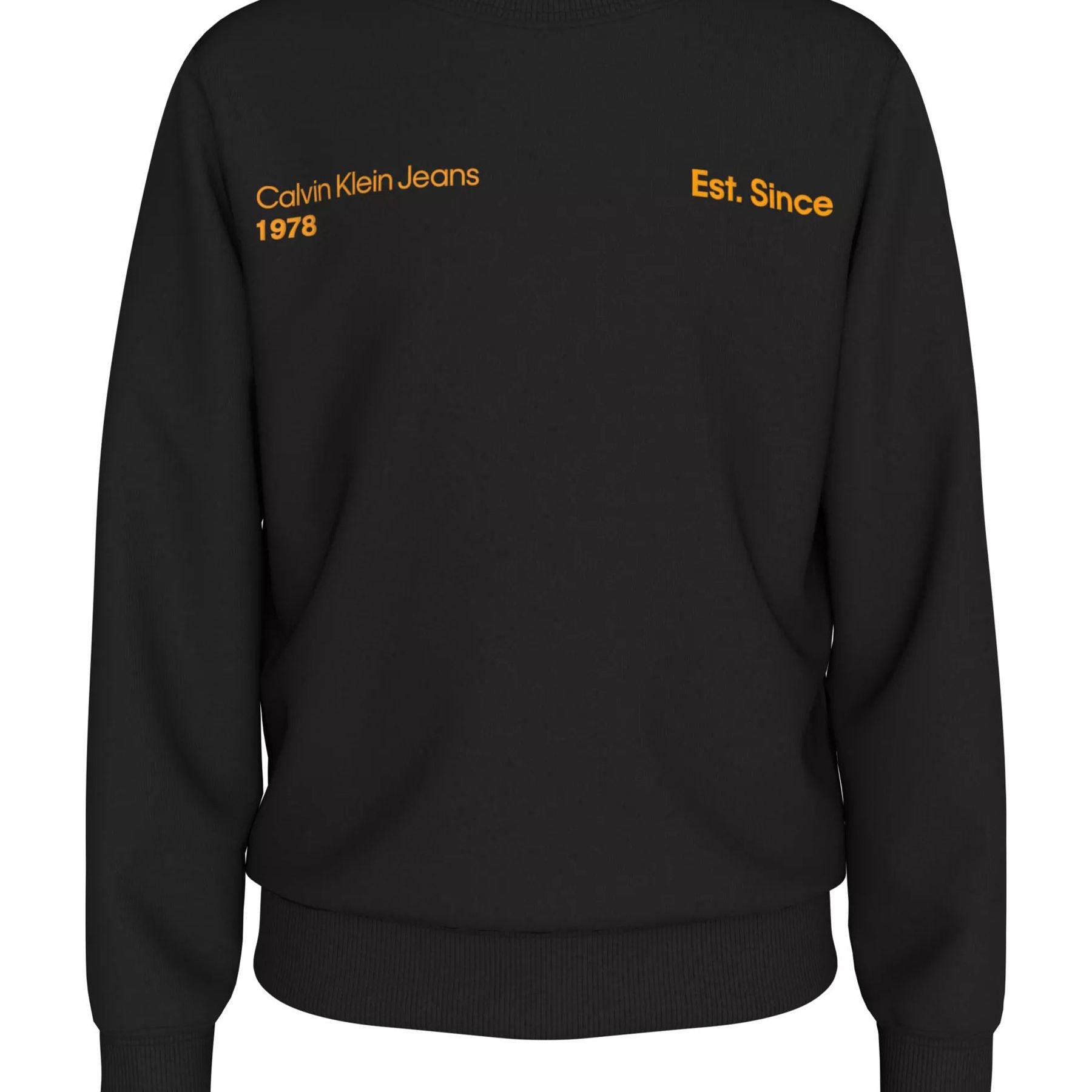 Calvin Klein Kids Graphic Print Sweatshirt