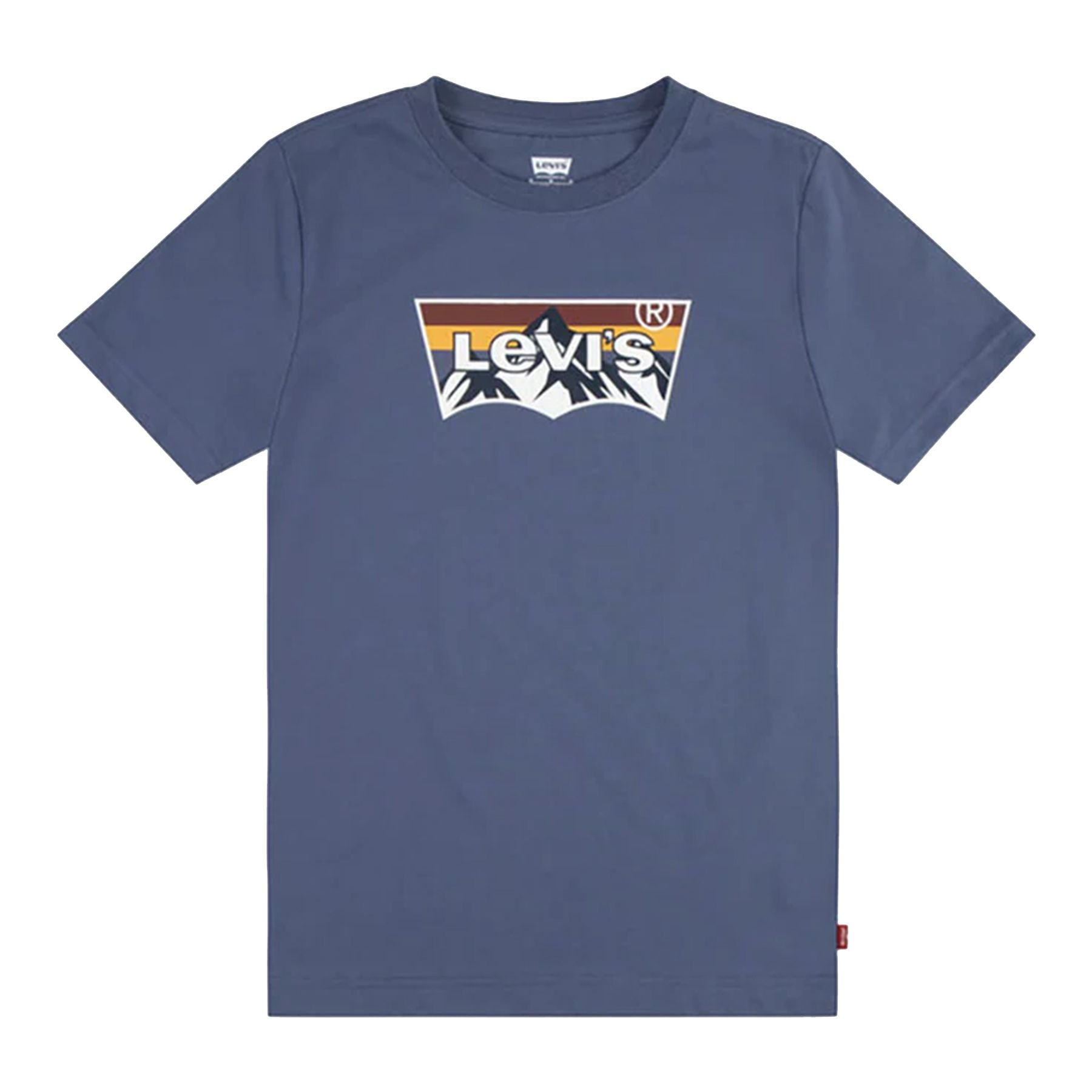 Levis Mountain Print T-shirt