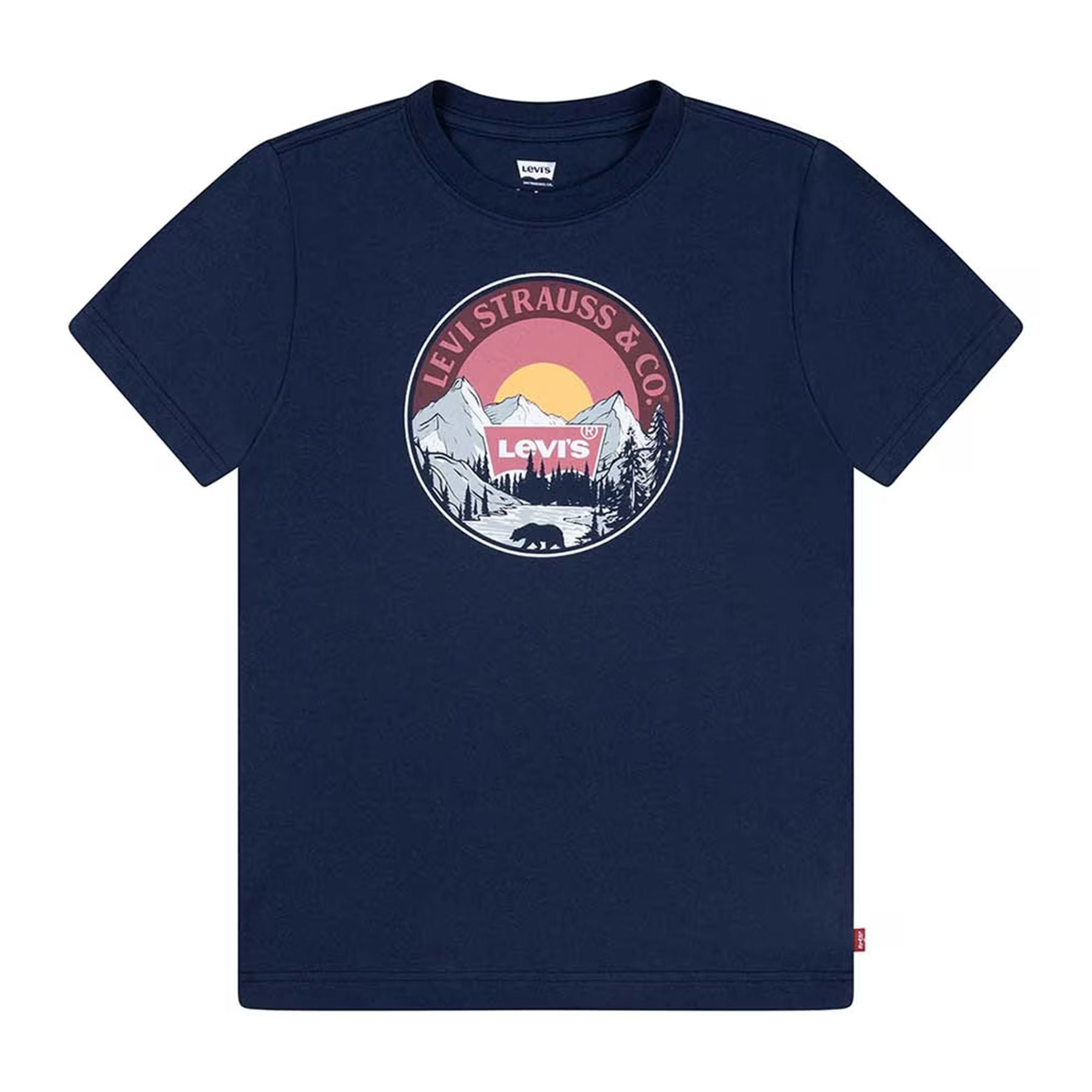 Levis Mountain Print T-shirt