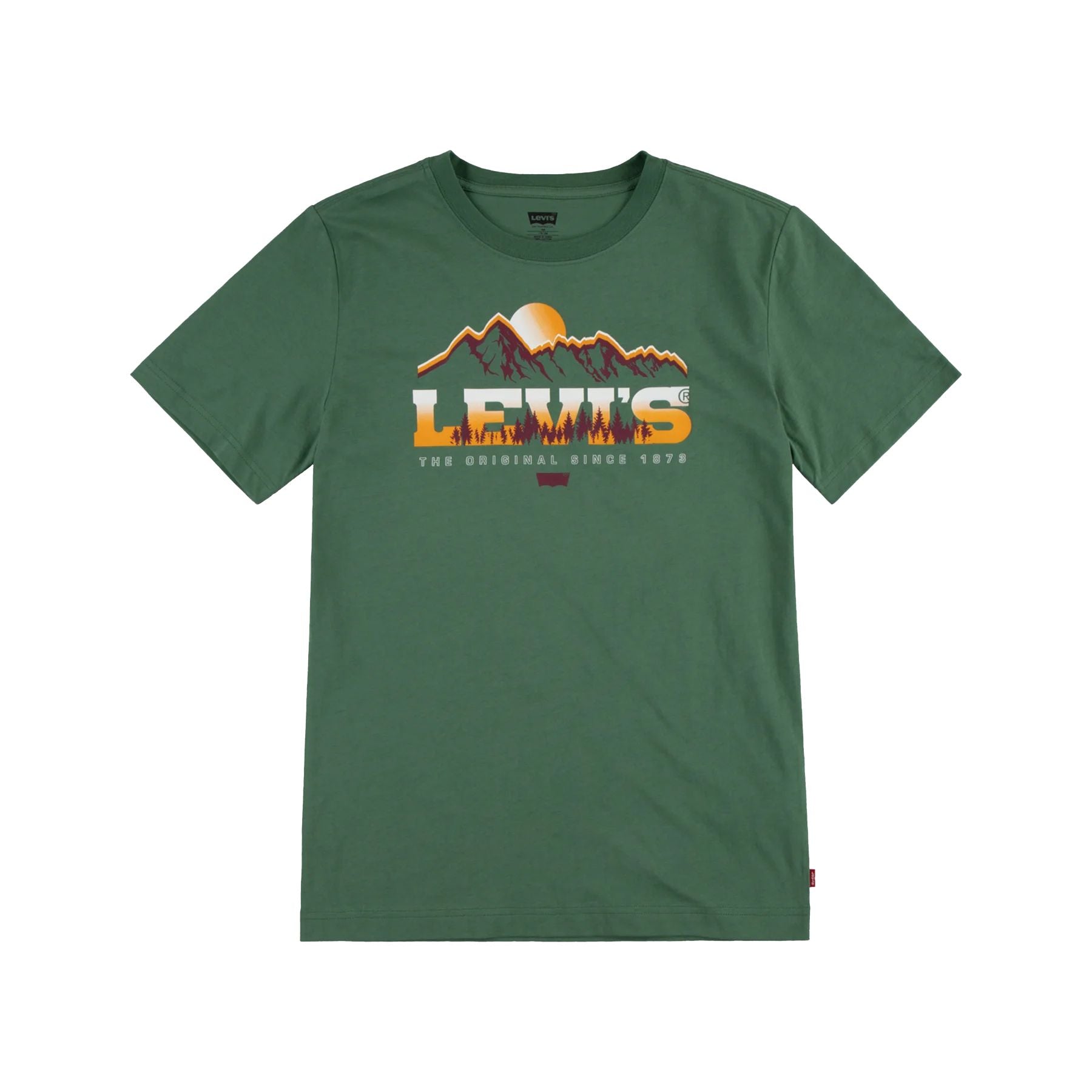 Levis Mountain Print T-shirt