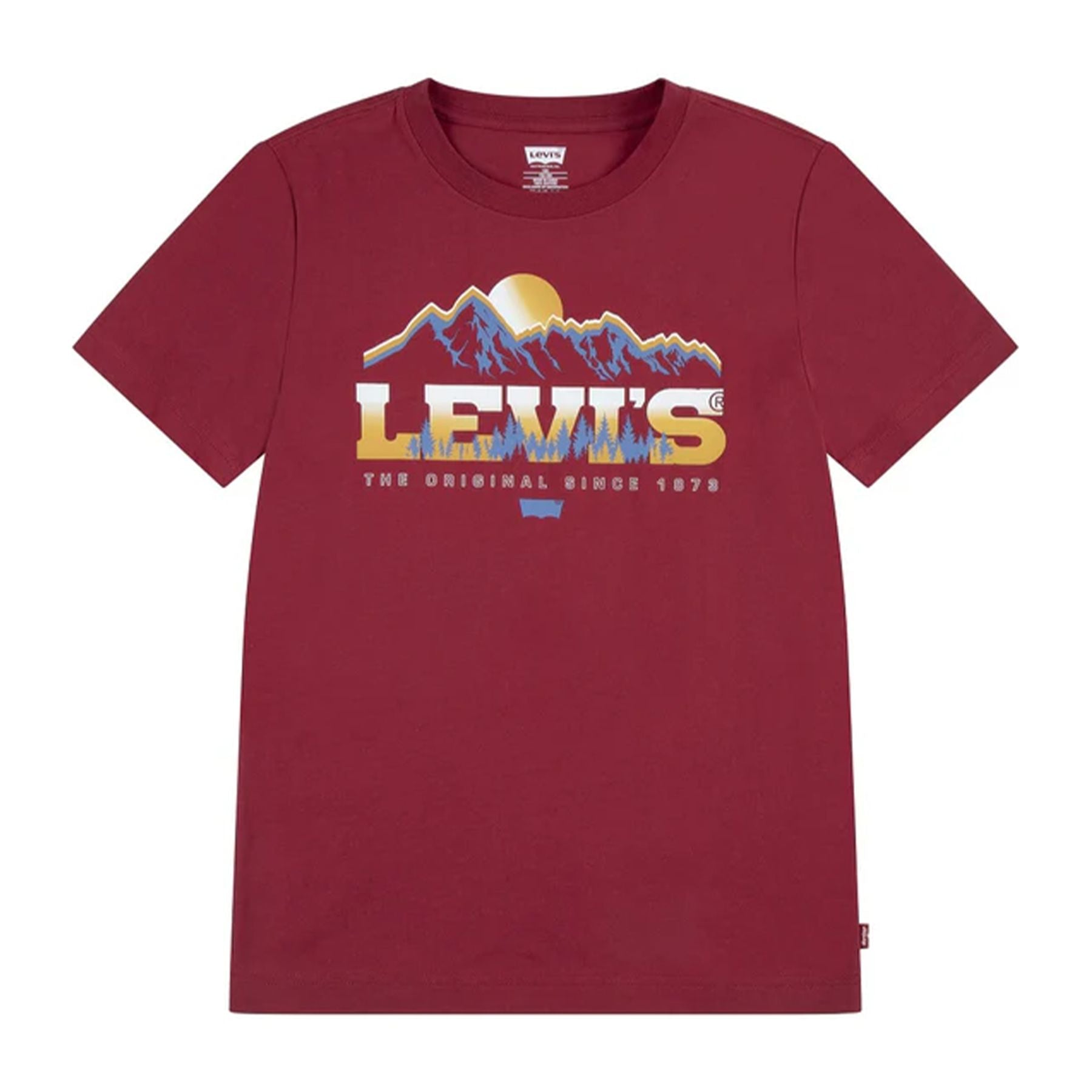 Levis Mountain Print T-shirt