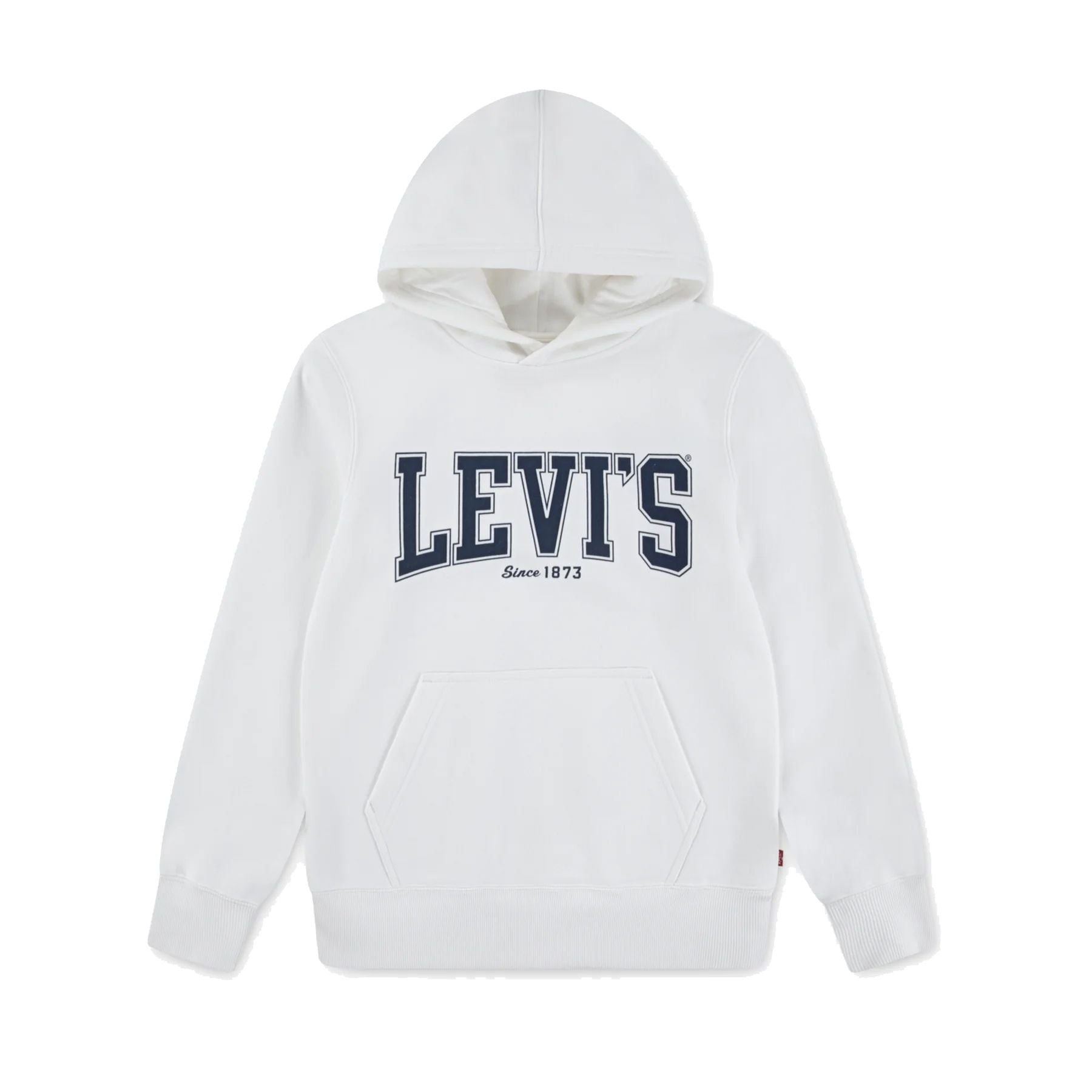 Levis Printed Hoodie