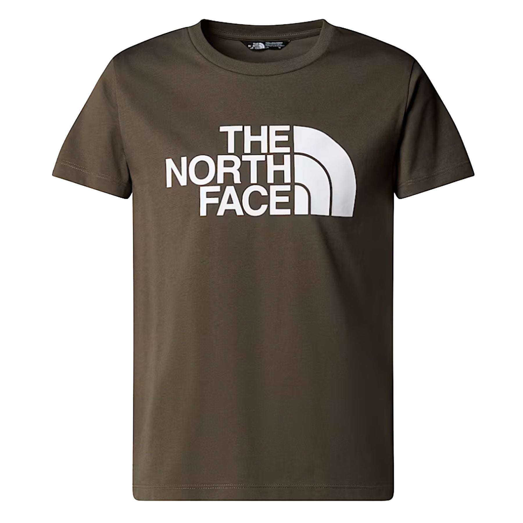 The North Face T-Shirt with Front and Back Graphic Green