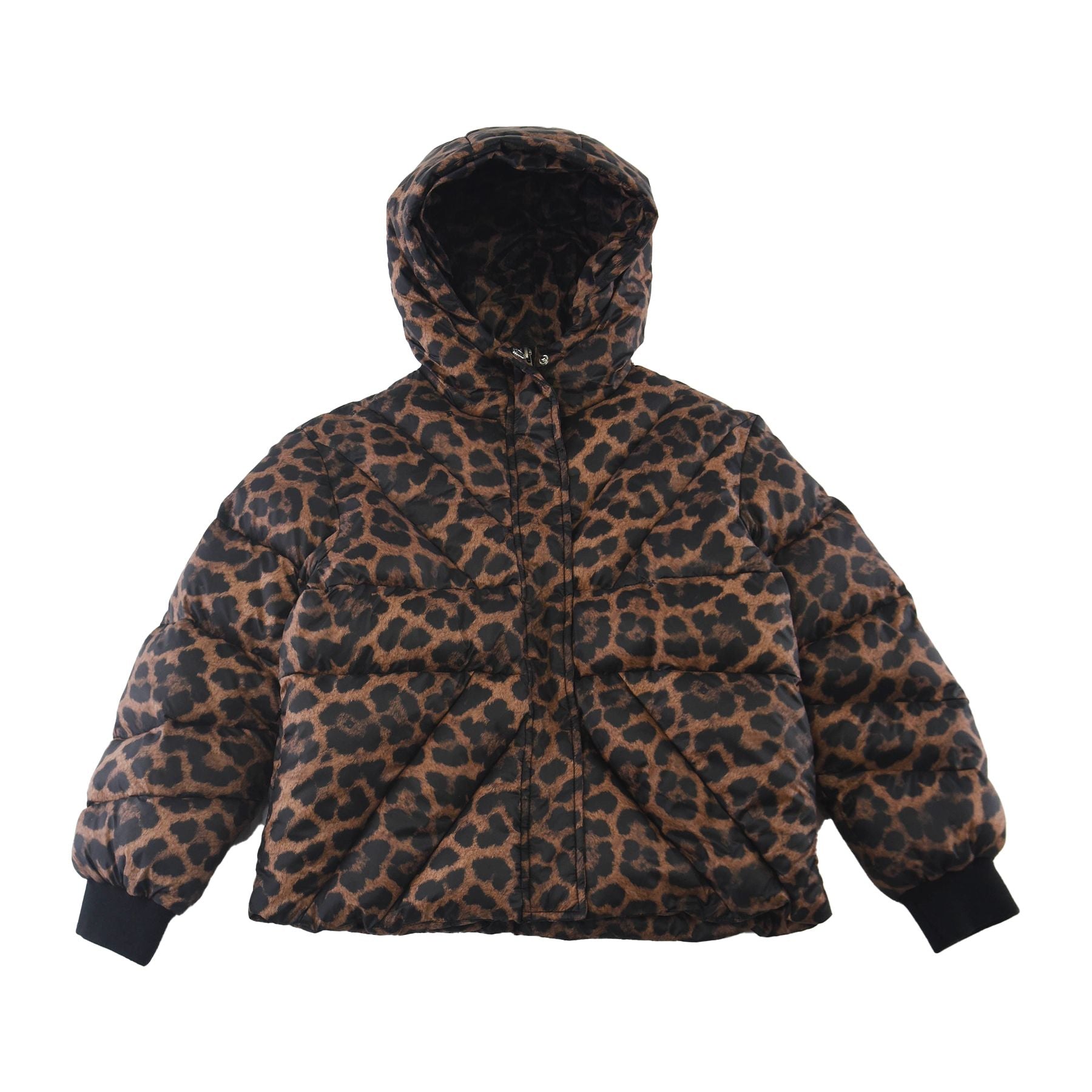 Richmond Spotted Pattern Down Jacket with Hood