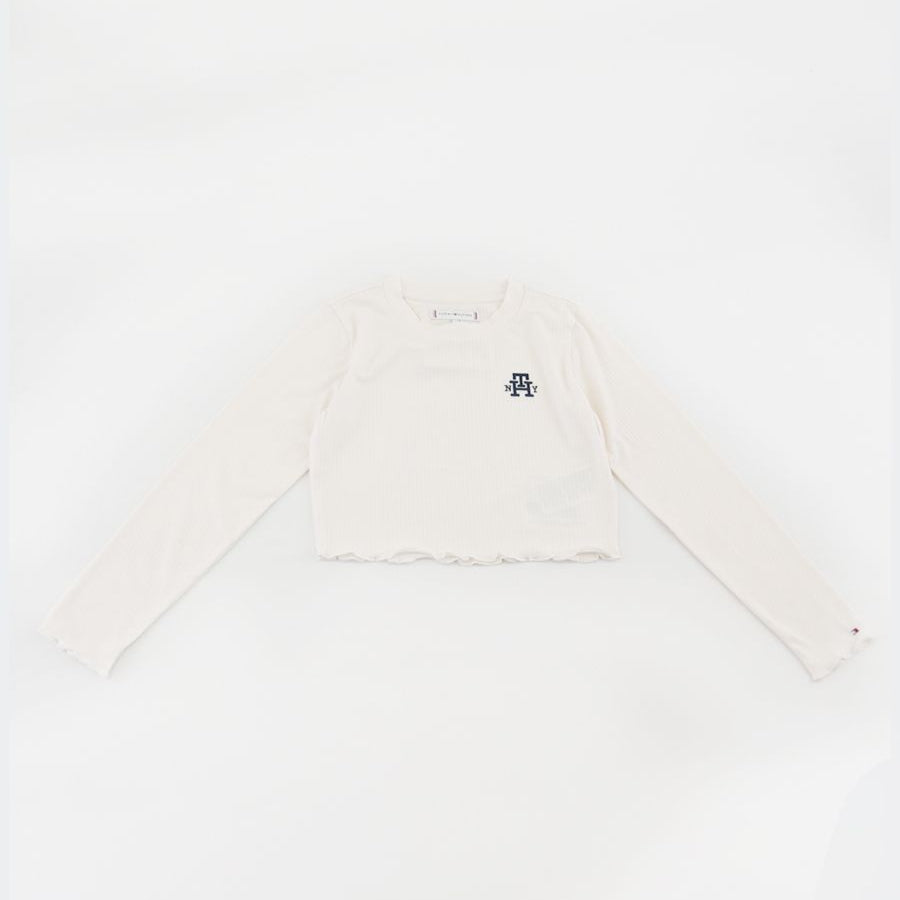 Tommy Hilfiger Embroidered T-shirt with Logo