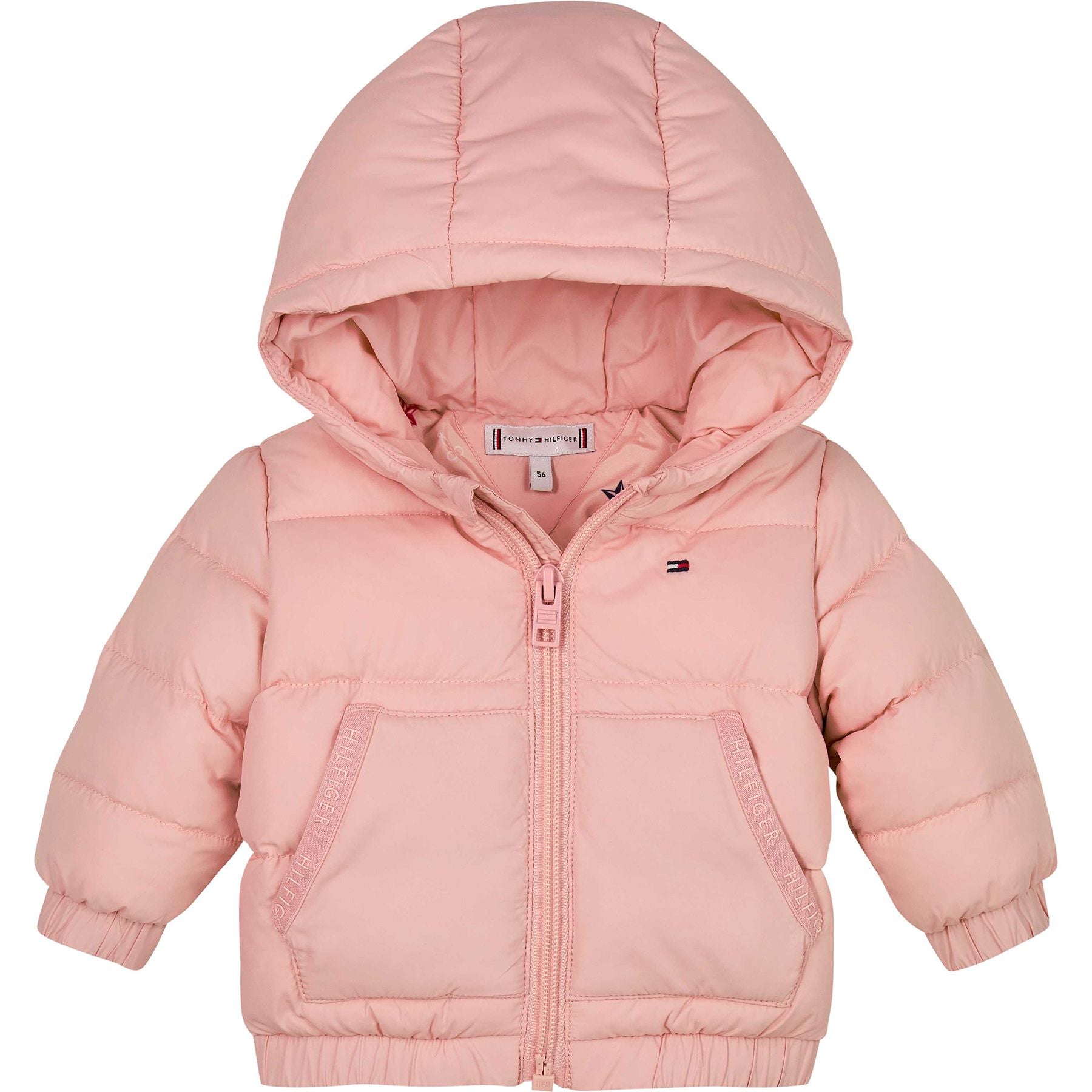 Padded jacket with zip and hood