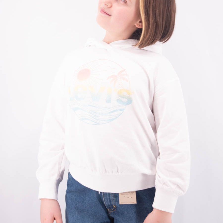 Levis Hoodie with Multicolor Logo Print