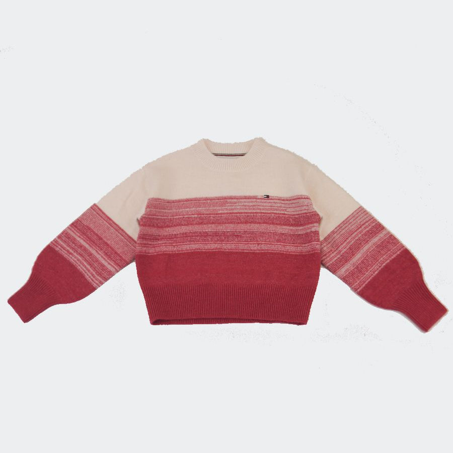 Tommy Hilfiger Embroidered Cropped Sweater