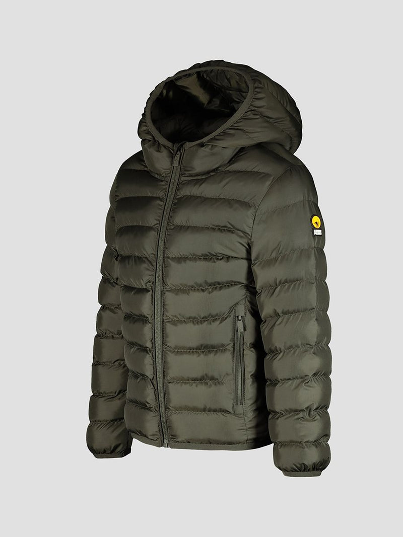 Down jacket with fixed hood