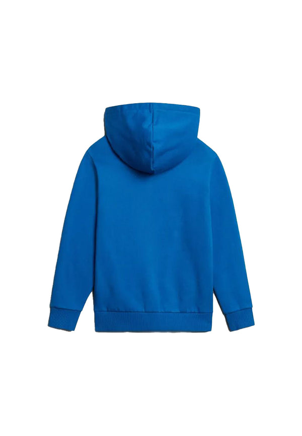 Felpa  Full Zip con Cappuccio